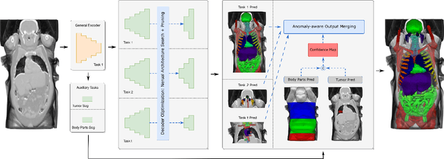Figure 2 for Continual Segment: Towards a Single, Unified and Accessible Continual Segmentation Model of 143 Whole-body Organs in CT Scans