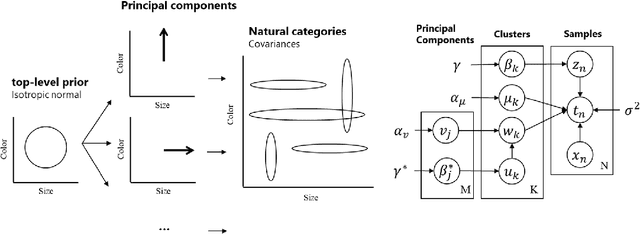 Figure 1 for A Rational Model of Dimension-reduced Human Categorization