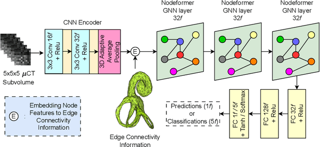 Figure 3 for Geometric Learning-Based Transformer Network for Estimation of Segmentation Errors