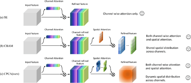 Figure 1 for Channel prior convolutional attention for medical image segmentation