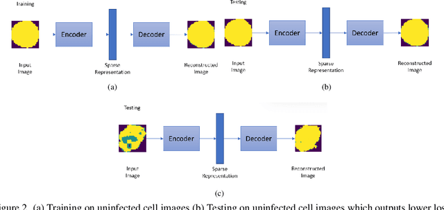 Figure 3 for AnoMalNet: Outlier Detection based Malaria Cell Image Classification Method Leveraging Deep Autoencoder
