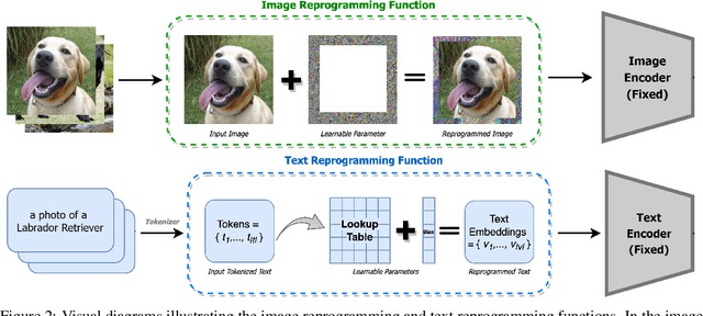 Figure 3 for Model Reprogramming Outperforms Fine-tuning on Out-of-distribution Data in Text-Image Encoders