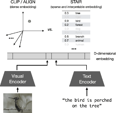 Figure 1 for STAIR: Learning Sparse Text and Image Representation in Grounded Tokens