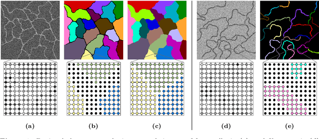 Figure 1 for A Graph Multi-separator Problem for Image Segmentation