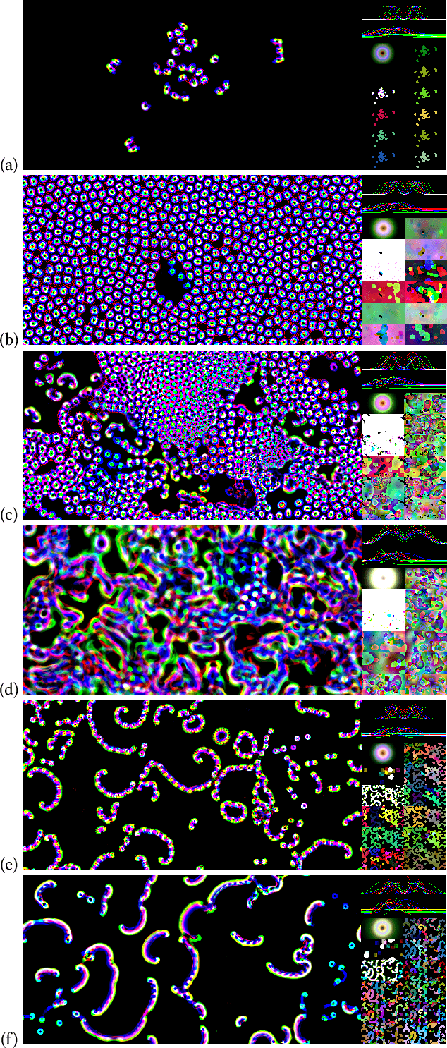Figure 3 for Towards Large-Scale Simulations of Open-Ended Evolution in Continuous Cellular Automata