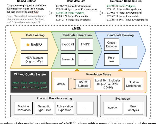 Figure 1 for xMEN: A Modular Toolkit for Cross-Lingual Medical Entity Normalization