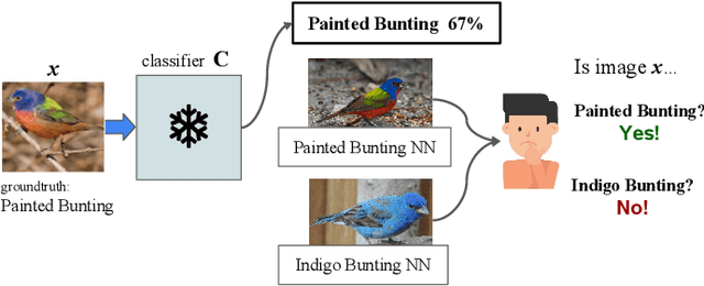 Figure 1 for AdvisingNets: Learning to Distinguish Correct and Wrong Classifications via Nearest-Neighbor Explanations