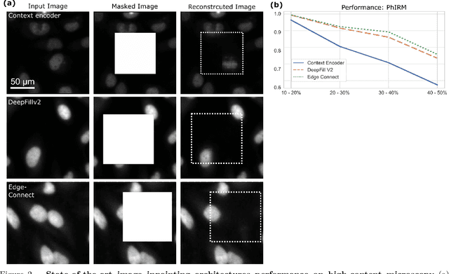 Figure 2 for Phenotype-preserving metric design for high-content image reconstruction by generative inpainting