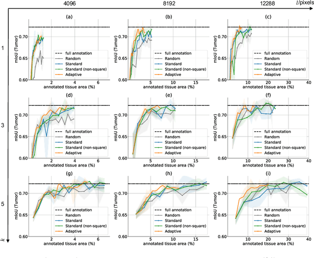 Figure 4 for Adaptive Region Selection for Active Learning in Whole Slide Image Semantic Segmentation