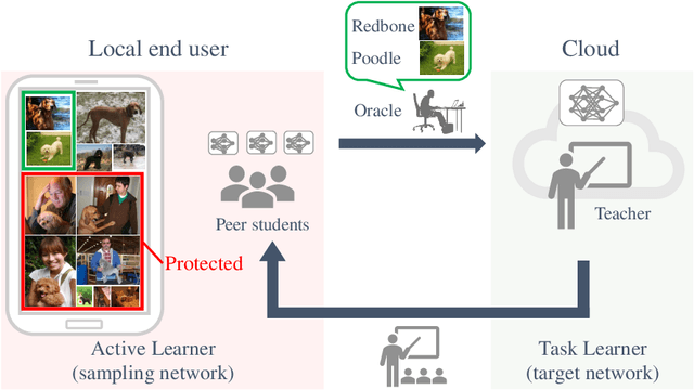 Figure 1 for Responsible Active Learning via Human-in-the-loop Peer Study