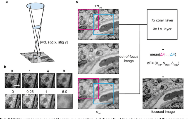 Figure 1 for DeepFocus: Fast focus and astigmatism correction for electron microscopy