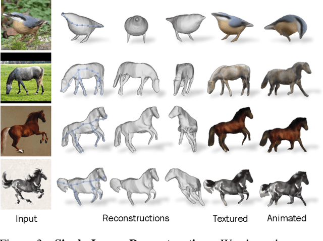 Figure 4 for MagicPony: Learning Articulated 3D Animals in the Wild