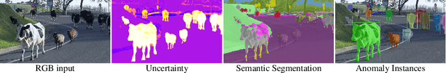 Figure 1 for UGainS: Uncertainty Guided Anomaly Instance Segmentation