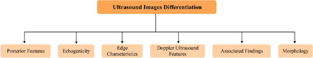 Figure 2 for Comparative Analysis of Segment Anything Model and U-Net for Breast Tumor Detection in Ultrasound and Mammography Images