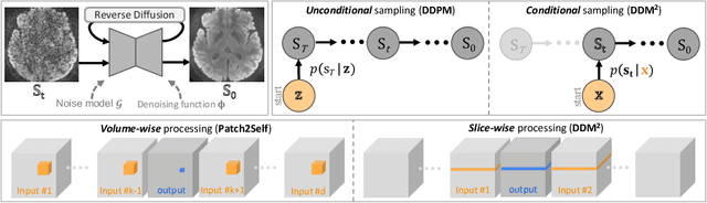 Figure 1 for DDM$^2$: Self-Supervised Diffusion MRI Denoising with Generative Diffusion Models