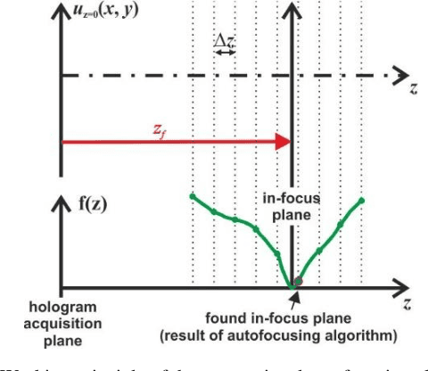 Figure 1 for Versatile optimization-based speed-up method for autofocusing in digital holographic microscopy