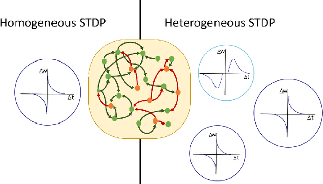 Figure 1 for Topological Representations of Heterogeneous Learning Dynamics of Recurrent Spiking Neural Networks