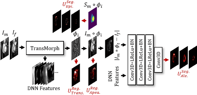 Figure 1 for From Registration Uncertainty to Segmentation Uncertainty