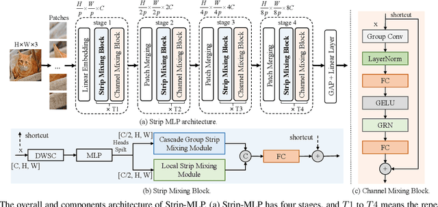 Figure 3 for Strip-MLP: Efficient Token Interaction for Vision MLP