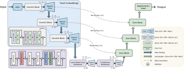 Figure 3 for MobileUtr: Revisiting the relationship between light-weight CNN and Transformer for efficient medical image segmentation
