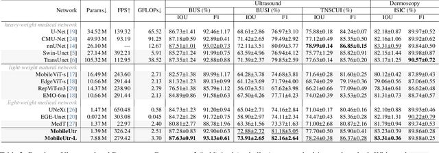 Figure 4 for MobileUtr: Revisiting the relationship between light-weight CNN and Transformer for efficient medical image segmentation