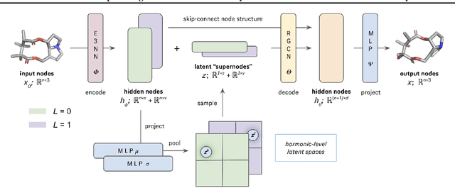 Figure 3 for MoleCLUEs: Optimizing Molecular Conformers by Minimization of Differentiable Uncertainty