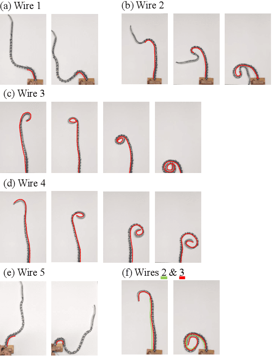Figure 4 for Hybrid Soft-Rigid Continuum Robot Inspired by Spider Monkey Tail