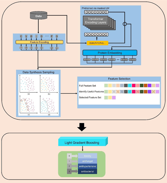 Figure 3 for pLMFPPred: a novel approach for accurate prediction of functional peptides integrating embedding from pre-trained protein language model and imbalanced learning