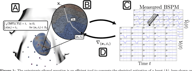 Figure 1 for Digital twinning of cardiac electrophysiology models from the surface ECG: a geodesic backpropagation approach