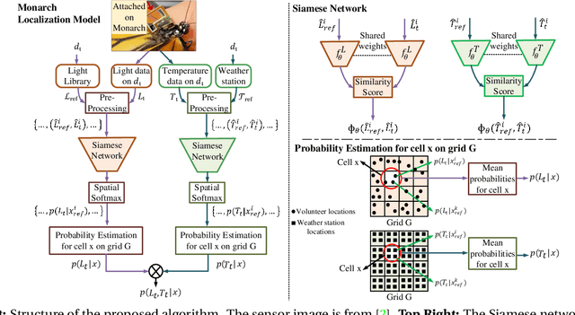 Figure 1 for Siamese Learning-based Monarch Butterfly Localization