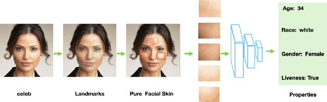 Figure 2 for FaceSkin: A Privacy Preserving Facial skin patch Dataset for multi Attributes classification