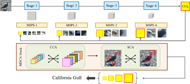 Figure 3 for M2Former: Multi-Scale Patch Selection for Fine-Grained Visual Recognition