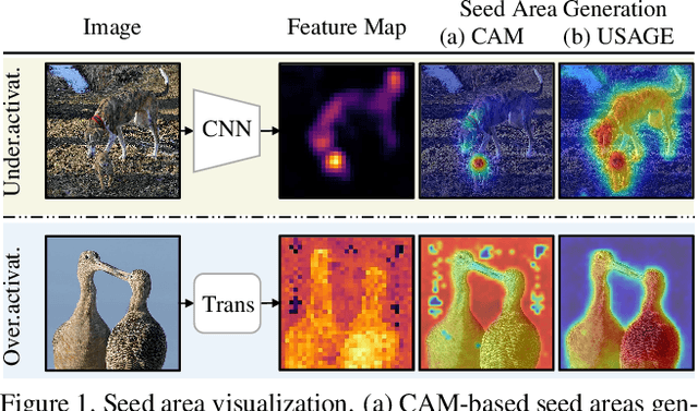 Figure 1 for USAGE: A Unified Seed Area Generation Paradigm for Weakly Supervised Semantic Segmentation