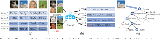 Figure 3 for Hierarchical Fine-Grained Image Forgery Detection and Localization