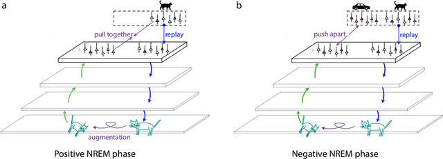 Figure 3 for Learning beyond sensations: how dreams organize neuronal representations