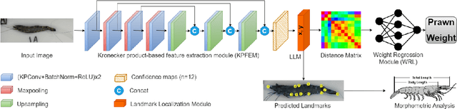 Figure 1 for Prawn Morphometrics and Weight Estimation from Images using Deep Learning for Landmark Localization