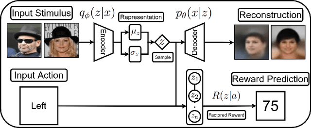 Figure 1 for Learning in Factored Domains with Information-Constrained Visual Representations