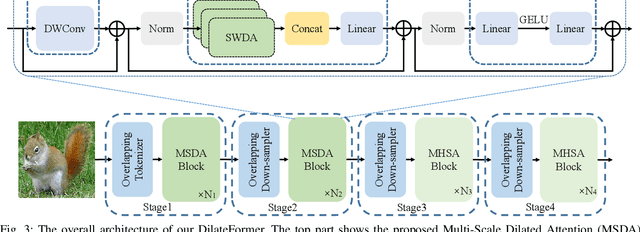 Figure 3 for DilateFormer: Multi-Scale Dilated Transformer for Visual Recognition