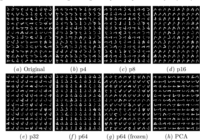 Figure 2 for Equivariance with Learned Canonicalization Functions