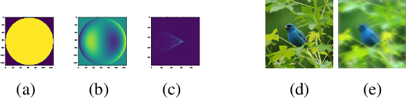 Figure 4 for Classification robustness to common optical aberrations