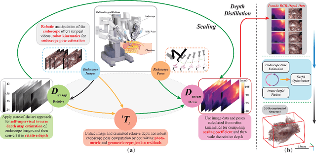 Figure 1 for Distilled Visual and Robot Kinematics Embeddings for Metric Depth Estimation in Monocular Scene Reconstruction