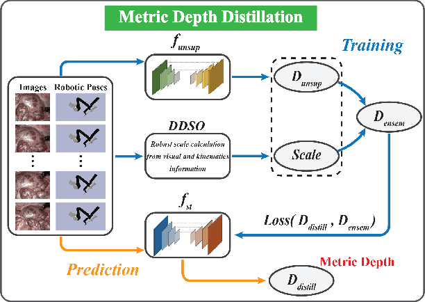 Figure 2 for Distilled Visual and Robot Kinematics Embeddings for Metric Depth Estimation in Monocular Scene Reconstruction