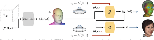 Figure 3 for PhoMoH: Implicit Photorealistic 3D Models of Human Heads