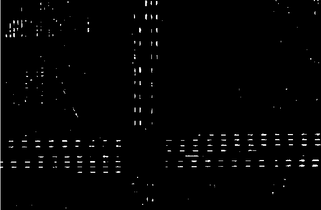 Figure 2 for Linear features segmentation from aerial images