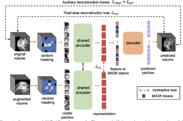 Figure 1 for ViT-AE++: Improving Vision Transformer Autoencoder for Self-supervised Medical Image Representations