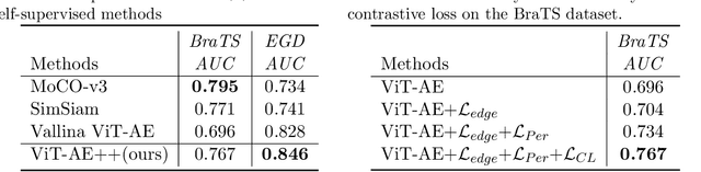 Figure 4 for ViT-AE++: Improving Vision Transformer Autoencoder for Self-supervised Medical Image Representations