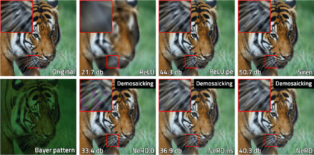 Figure 4 for NeRD: Neural field-based Demosaicking