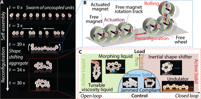 Figure 1 for A self-organizing robotic aggregate using solid and liquid-like collective states