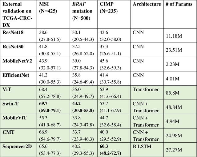 Figure 2 for Time to Embrace Natural Language Processing (NLP)-based Digital Pathology: Benchmarking NLP- and Convolutional Neural Network-based Deep Learning Pipelines