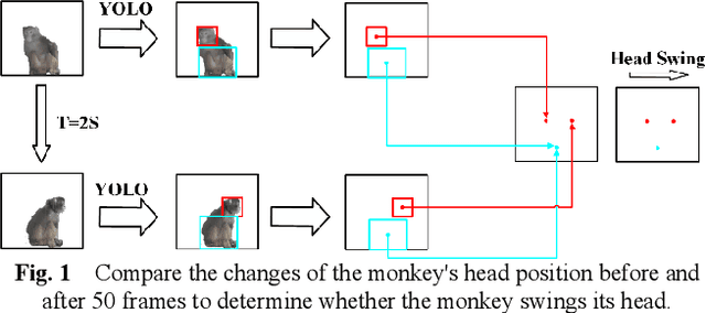 Figure 1 for A Monkey Swing Counting Algorithm Based on Object Detection